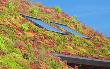 Six Mile Cross living roof systems